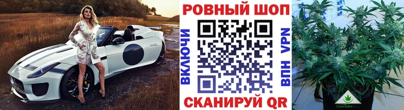 Где продают наркотики Злынка KRAKEN зеркало  Галлюциногенные грибы  ГАШ  Марихуана  МЕФ  Кокаин 