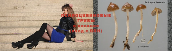 ПСИЛОЦИБИНОВЫЕ ГРИБЫ Алексеевка