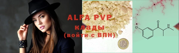 стафф Алексин