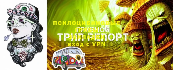 СК Абинск