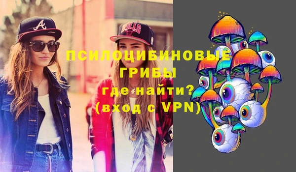 стафф Алексин