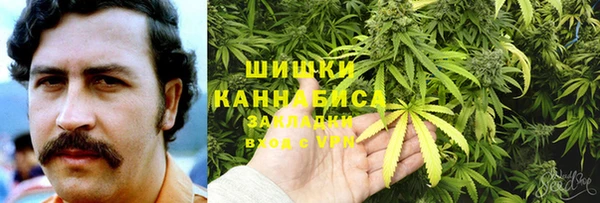 стафф Абаза
