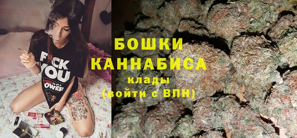 ПСИЛОЦИБИНОВЫЕ ГРИБЫ Алексеевка