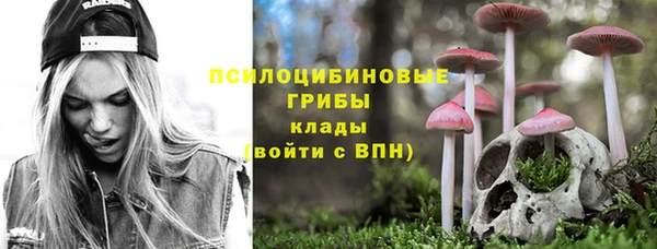СК Абинск