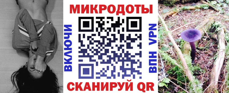 даркнет сайт  Злынка  Галлюциногенные грибы Psilocybine cubensis 